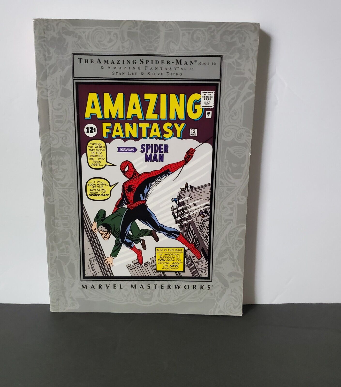 MARVEL MASTERWORKS: The Amazing Spider-Man Vol 1 Stan Lee Steve Ditko #'s 1-10+
