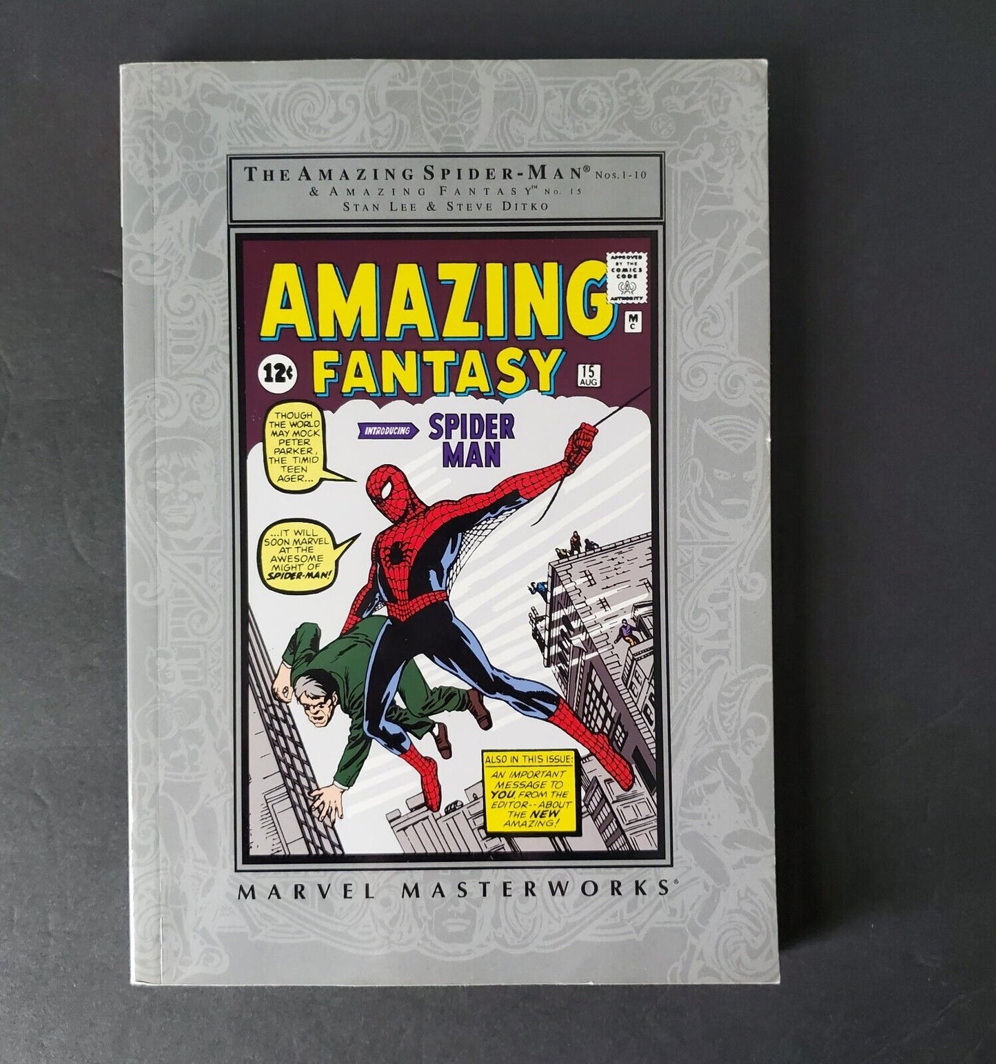 MARVEL MASTERWORKS: The Amazing Spider-Man Vol 1 Stan Lee Steve Ditko #'s 1-10+