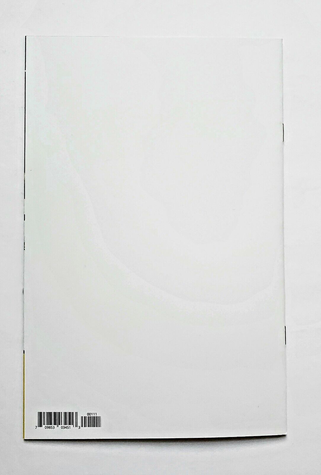 Spawn #1 Image Comics (2022) Todd McFarlane Blank Sketch GREEN & PURPLE.