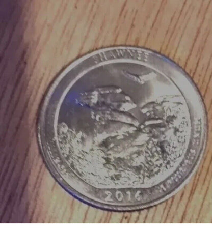 2016 P Shawnee Quarter