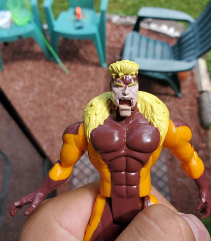 Wolverine Vs. Sabretooth